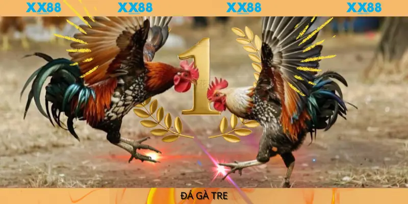 XX88__ĐÁ GÀ TRE