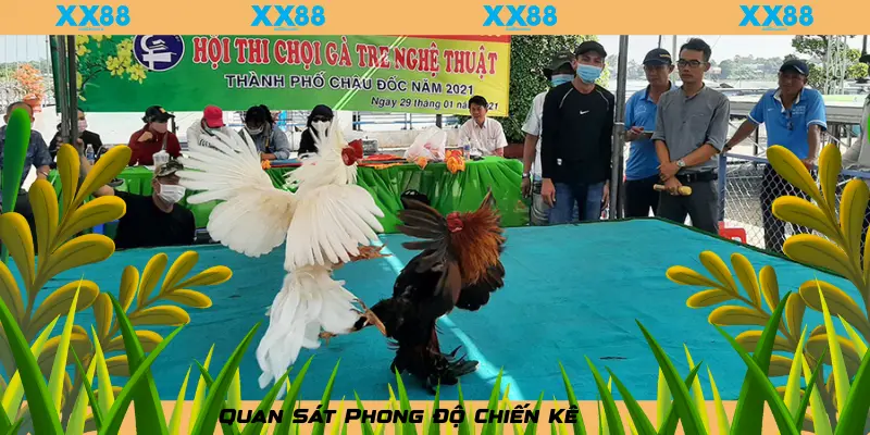 XX88__Quan Sát Phong Độ Chiến Kê